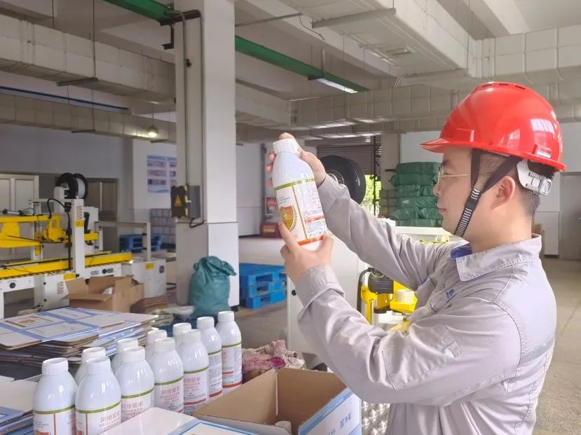 1728468038725268.jpg 6.jpg