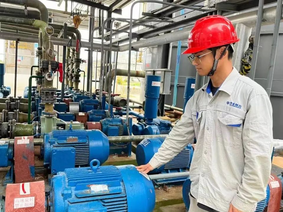 1728468061611333.jpg 5.jpg