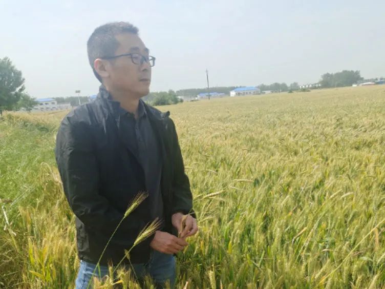 1730444309950342.jpg 3.jpg