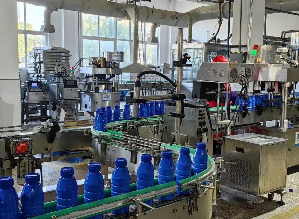 1730445590360965.jpg 2.jpg