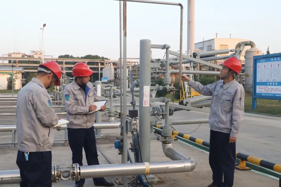 1732234242481540.jpg 10.jpg