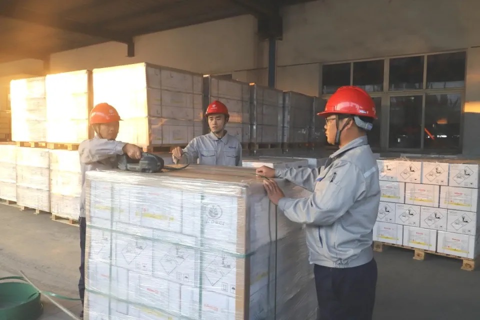 1732234254651421.jpg 11.jpg