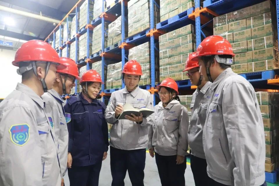 1732234266360120.jpg 8.jpg