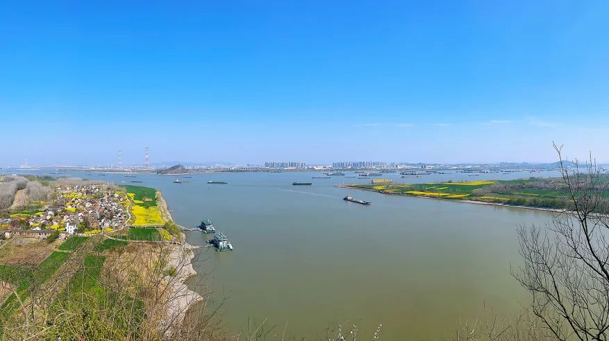 1743415525531828.jpg 6.jpg