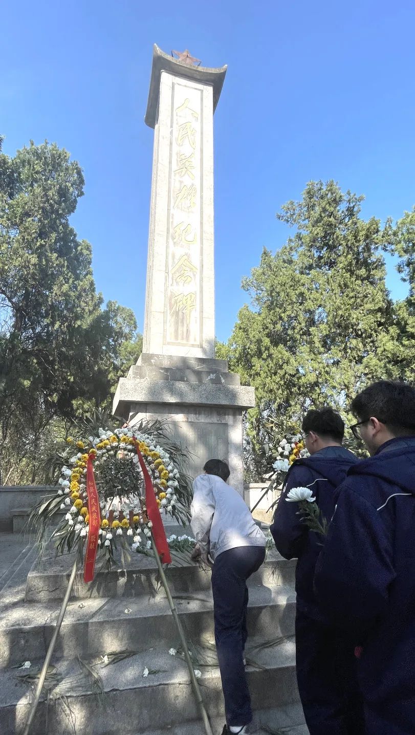 1743415539962573.jpg 4.jpg