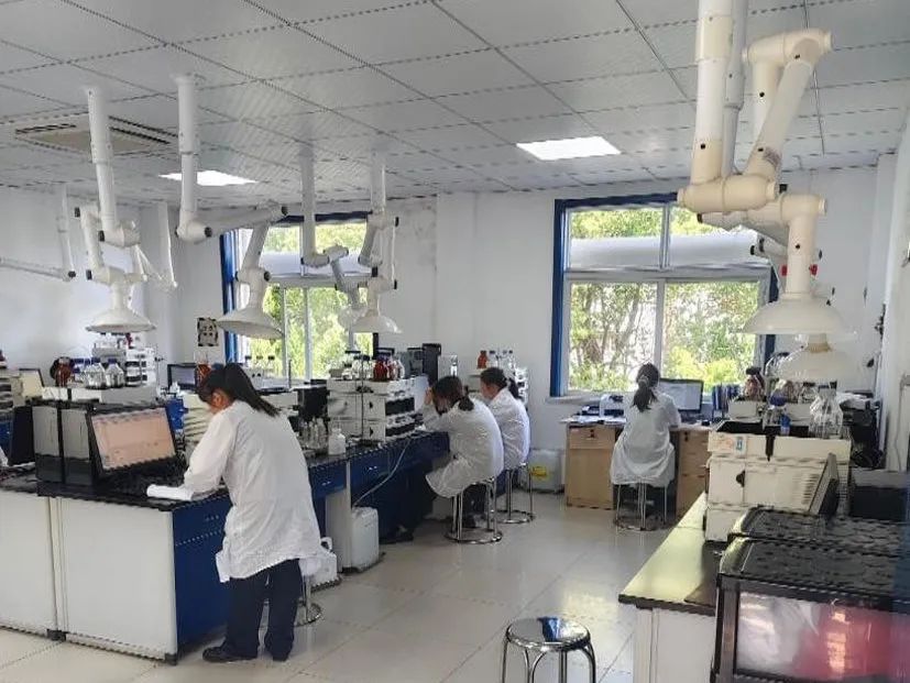 1746494138909597.jpg 6.jpg