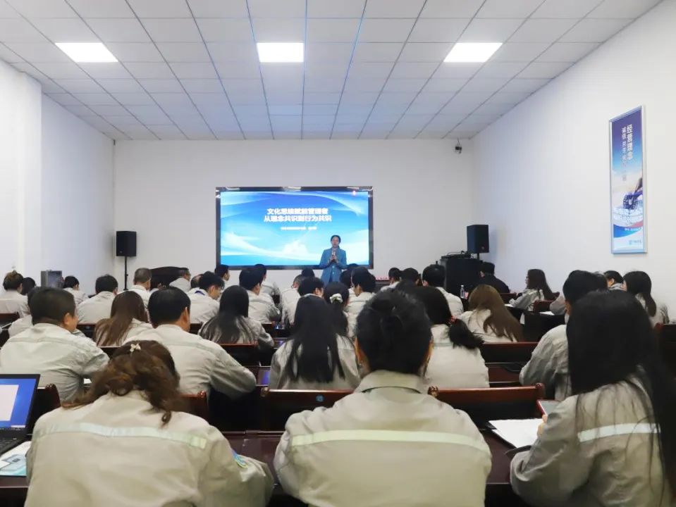 1747103611663861.jpg 3.jpg